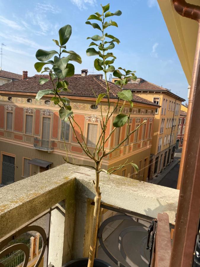 Ferienwohnung Loft Manzoni 37 Cremona Exterior foto
